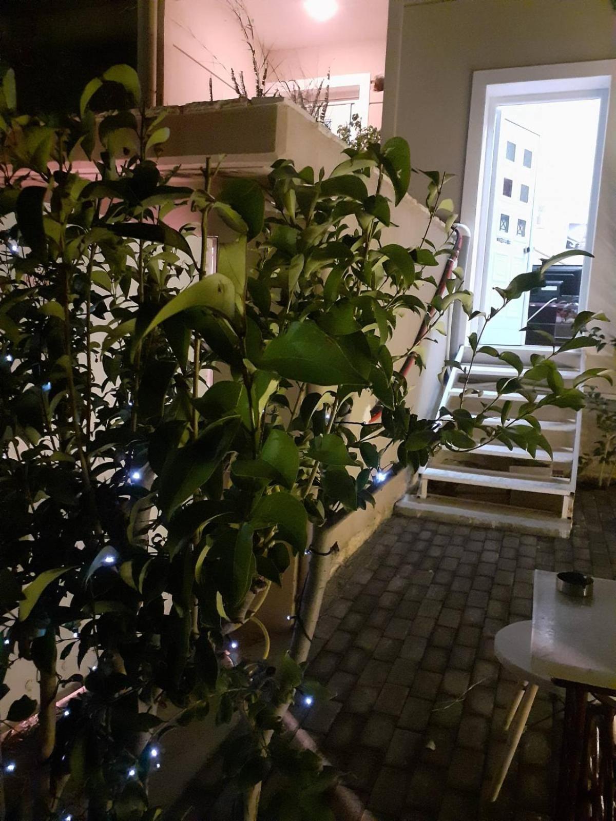 Exostis Villa Nauplion Buitenkant foto