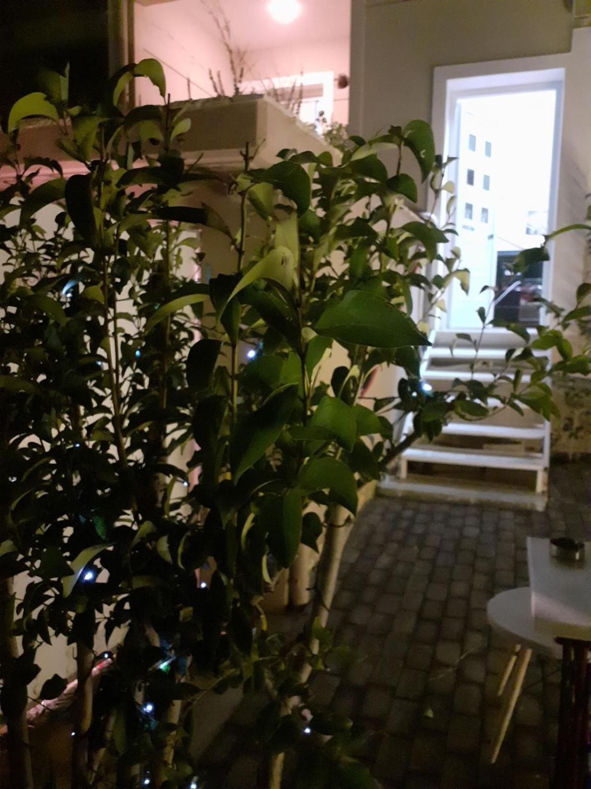 Exostis Villa Nauplion Buitenkant foto